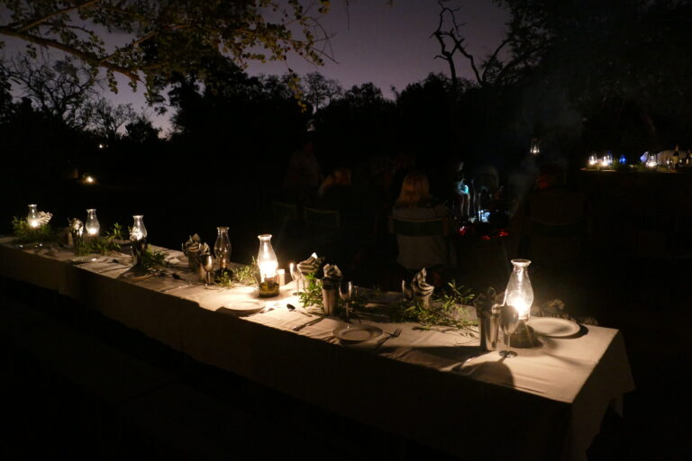 Dinner in Bush Camp